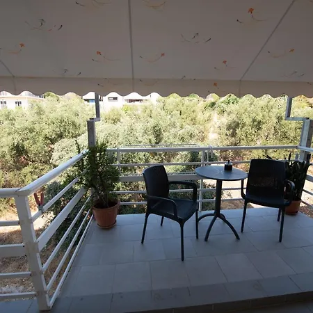 Apartament Alitocatos