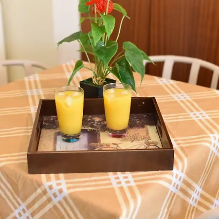 Apartament Alitocatos